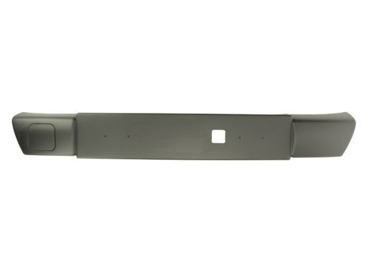 BLIC Bumper moulding Article number: 6502-07-5545993P cheaply