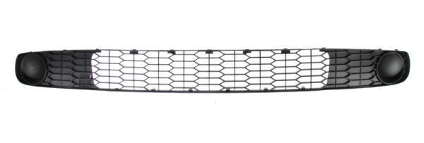 BLIC Bumper grill Article number: 6502-07-6030910P cheaply