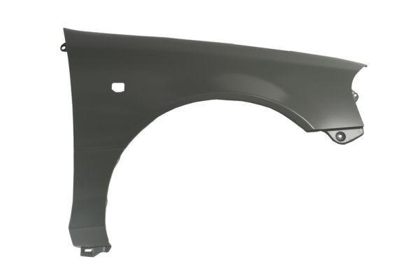 BLIC Wing fender Article number: 6504-04-6811314P cheaply