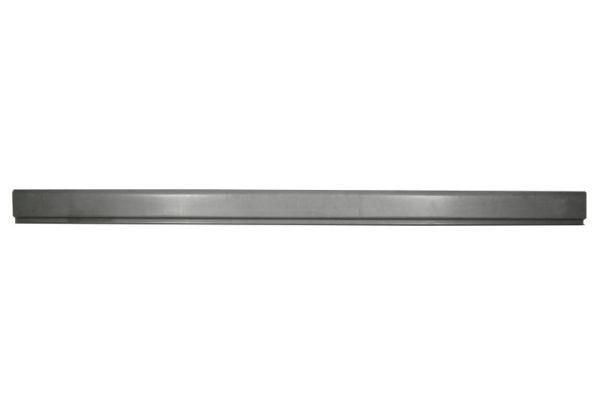 BLIC Rocker panel Article number: 6505-06-2911019P cheaply