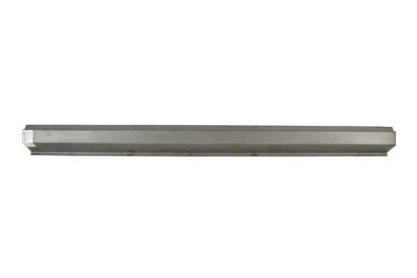 BLIC Rocker panel Article number: 6505-06-5080015P cheaply