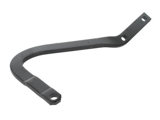 BLIC Hinge, bonnet Article number: 6802-00-5022452P cheaply