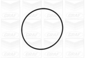 GRAF Water pump Article number: PA544 cheaply