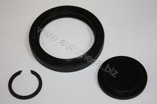 AUTOMEGA Repair Kit, manual transmission flange Article number: 304980085020E cheaply