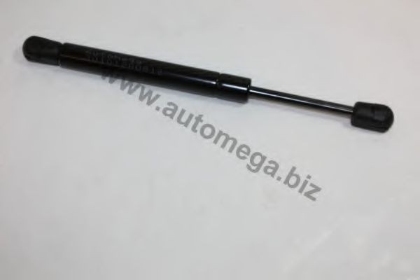 AUTOMEGA Brake hose Article number: 3061107078E0G cheaply