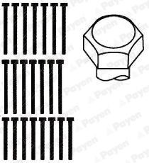 PAYEN Gasket, cylinder head Article number: BX620 cheaply