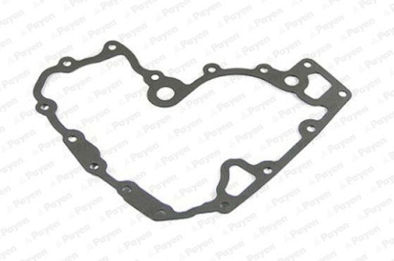 PAYEN Exhaust pipe gasket Article number: KK5597 cheaply