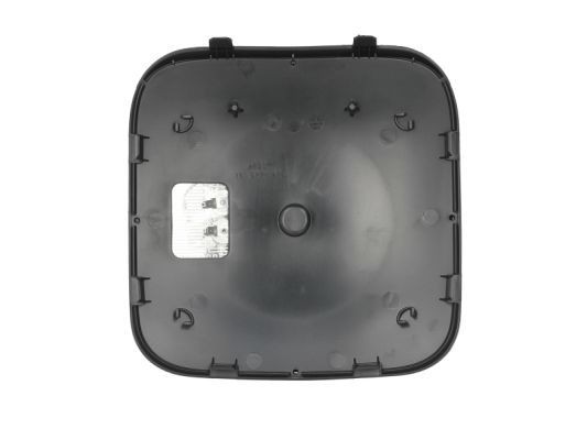 PACOL Spejlglas, udvendig spejl Varenummer: MER-MR-014 billige