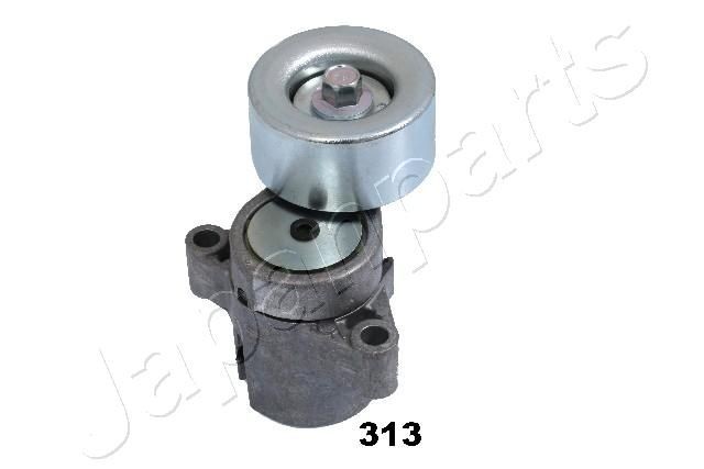 JAPANPARTS Tensioner Lever, v-ribbed belt Article number: TS-313 cheaply