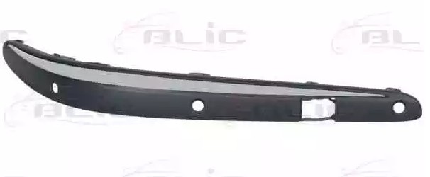 BLIC 5703-05-3528924P Bumper moulding E-Class E 280 CDI 3.2 (211.223) 177 PS Diesel 2009