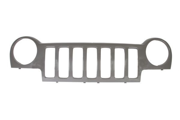 BLIC Radiator Grille Article number: 6502-07-3211990P cheaply