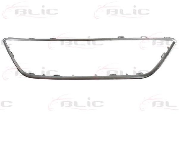 BLIC Frame, radiator grille Article number: 6502-07-6614991P cheaply