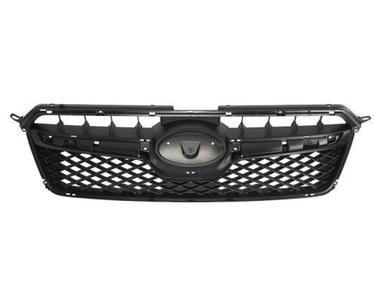 BLIC Radiator Grille Article number: 6502-07-6735994P cheaply