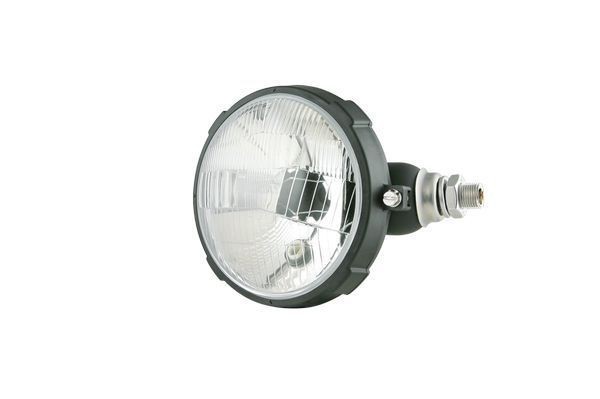 TRUCKLIGHT Lens, tail light Article number: TL-UN003L cheaply