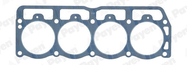 PAYEN Gasket, cylinder head Article number: AC5600 cheaply
