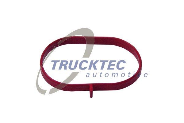 TRUCKTEC AUTOMOTIVE Inlet manifold gasket Article number: 02.16.067 cheaply