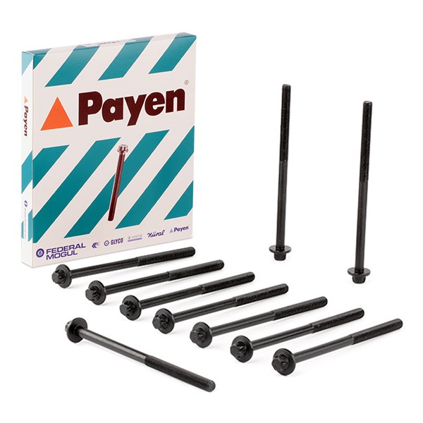 PAYEN Bolt Kit, cylinder head Article number: HBS544 cheaply