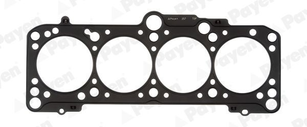 PAYEN Gasket, cylinder head Article number: BL400 cheaply