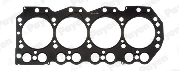 PAYEN Gasket, cylinder head Article number: BS200 cheaply