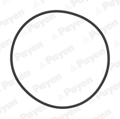 PAYEN Bolt Kit, cylinder head Article number: HBS217 cheaply