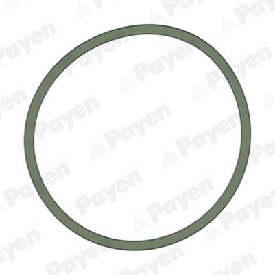 PAYEN Inlet manifold gasket Article number: JD5228 cheaply