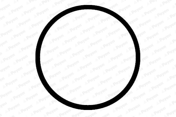 PAYEN Inlet manifold gasket Article number: JD5412 cheaply