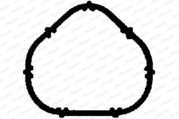 PAYEN Inlet manifold gasket Article number: JD5885 cheaply