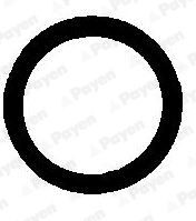 PAYEN Exhaust pipe gasket Article number: JE012 cheaply