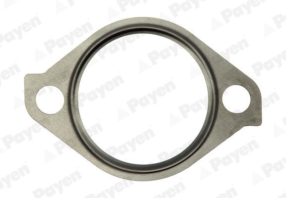 PAYEN Exhaust pipe gasket Article number: JE5064 cheaply