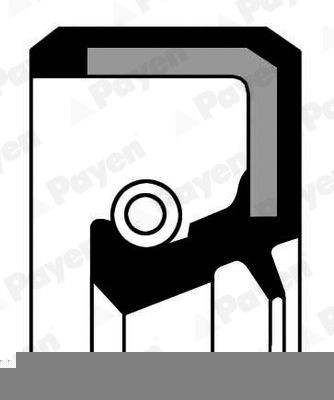 PAYEN Crankshaft seal Article number: NA5242 cheaply