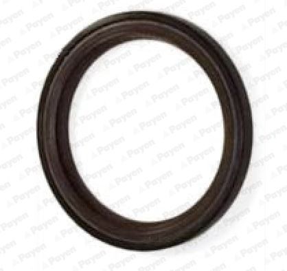 PAYEN Camshaft seal Article number: NA5317 cheaply