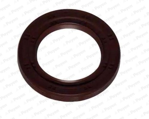 PAYEN Crankshaft seal Article number: NA5332 cheaply