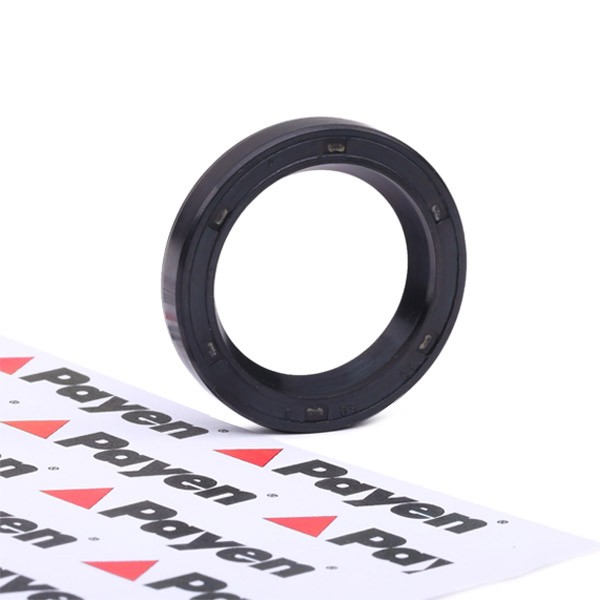 PAYEN Shaft Seal, differential Article number: NF369 cheaply