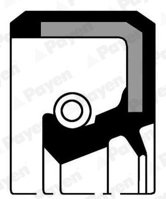 PAYEN Crankshaft seal Article number: NJ268 cheaply