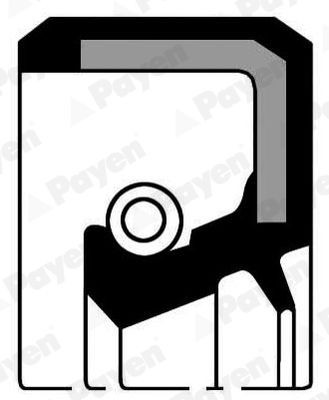 PAYEN Crankshaft seal Article number: NK209 cheaply