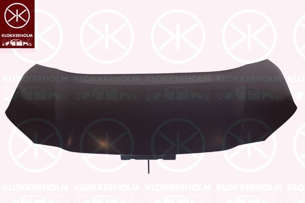 KLOKKERHOLM Bumper grill Article number: 9038911 cheaply