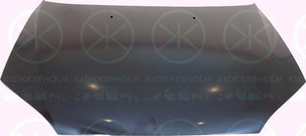 KLOKKERHOLM Variklio dangtis prekės numeris: 2530280 nebrangu