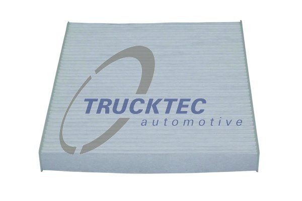 TRUCKTEC AUTOMOTIVE Afdækning, forlygter Varenummer: 08.62.968 billige