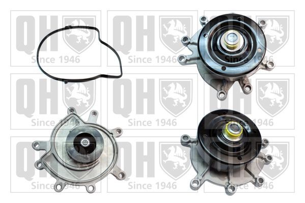 QUINTON HAZELL Water pump Article number: QCP3731 cheaply