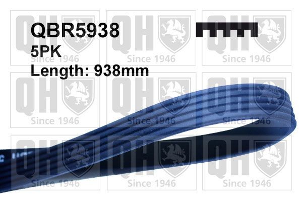 QUINTON HAZELL Serpentine belt Article number: QBR5938 cheaply