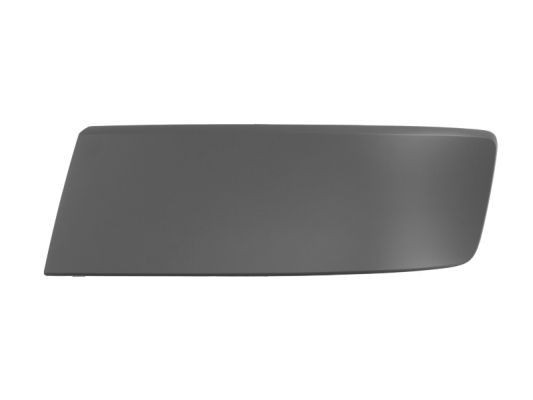 BLIC 5510-00-9568925P Bumper moulding CALIFORNIA 2.0 TSI 150 PS Petrol 2015