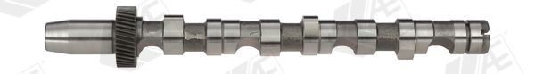 AE Camshaft Article number: CAM701 cheaply
