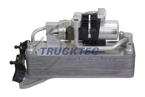 TRUCKTEC AUTOMOTIVE Pynte- / beskyttelseslistesæt Varenummer: 08.62.864 billige