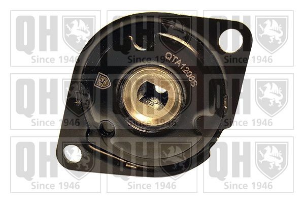 QUINTON HAZELL Tensioner Lever, v-ribbed belt Article number: QTA1208S cheaply