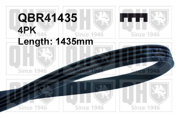 QUINTON HAZELL Serpentine belt Article number: QBR41435 cheaply
