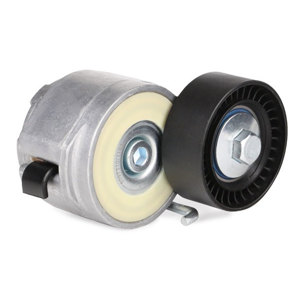 RIDEX Tensioner pulley Article number: 310T0043 cheaply