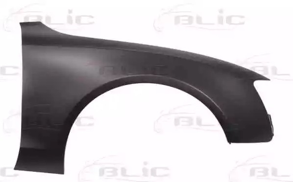BLIC Wing fender Article number: 6504-04-0038312P cheaply