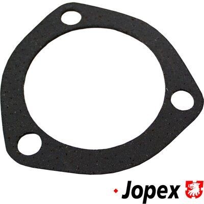 JP GROUP Exhaust pipe gasket Article number: 1121100200 cheaply
