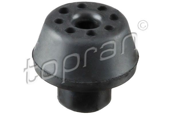 TOPRAN 700 813 Mounting, radiator MEGANE 1.9 dCi 120 PS Diesel