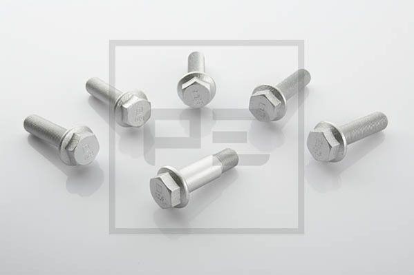 PETERS ENNEPETAL Bolt, brake caliper Article number: 016.187-10A cheaply